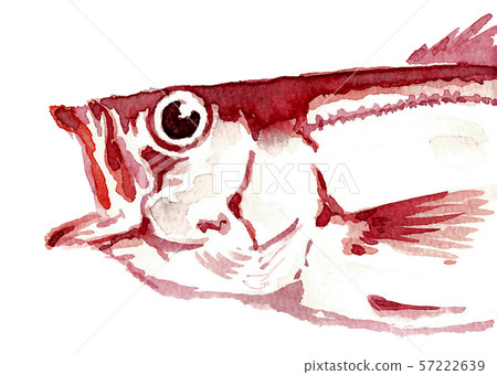 Nodoguro手繪 Nodoguro手繪 57222639