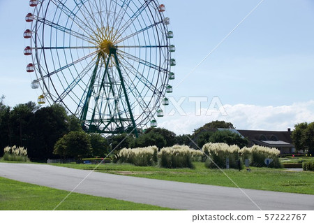 Ferris wheel Hitachi Seaside Park (Ibaraki) Ferris wheel Hitachi Seaside Park (Ibaraki) 57222767