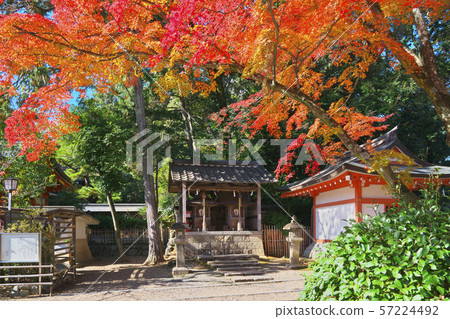 Nagaoka Tenmangu Shrine 57224492
