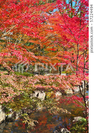 Nagaoka Tenmangu Shrine 57224494
