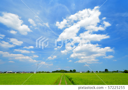一條直路和夏天藍天 一條直路和夏天藍天 57225255