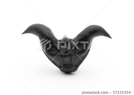 Hisinomi Hishi-no-mi Ryokaku: Water Caltrop 57225354