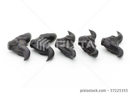 Hisinomi Hishi-no-mi Ryokaku:Water Caltrop Hisinomi Hishi-no-mi Ryokaku:Water Caltrop 57225355
