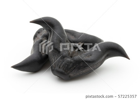 Hisinomi Hishi-no-mi Ryokaku:Water Caltrop Hisinomi Hishi-no-mi Ryokaku:Water Caltrop 57225357