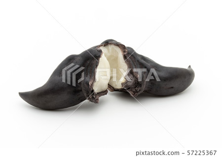 Hisinomi Hishi-no-mi Ryokaku：Water Caltrop 57225367