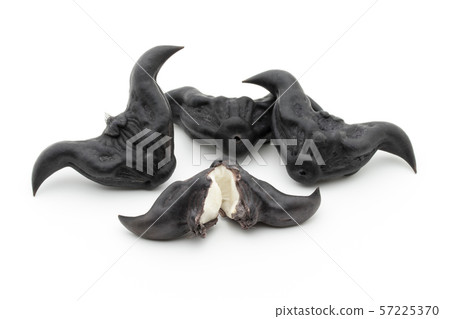 Hisinomi Hishi-no-mi Ryokaku: Water Caltrop 57225370