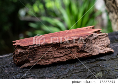 Wood has tiger stripe or curly stripe grain, Afzelia wood exotic beautiful pattern for crafts or abstract art Background 57227253