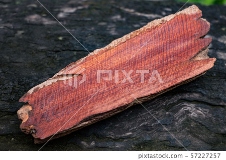 Wood has tiger stripe or curly stripe grain, Afzelia wood exotic beautiful pattern for crafts or abstract art Background 57227257
