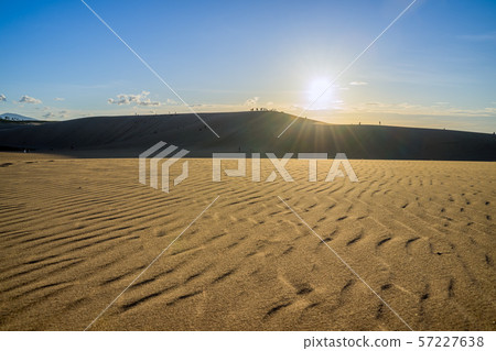 黃昏的鳥取沙丘 黃昏的鳥取沙丘 57227638