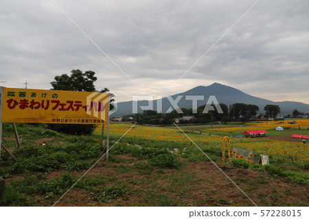 Akeumu Himawari Festival 57228015