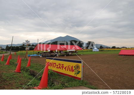 Akeumu Himawari Festival 57228019