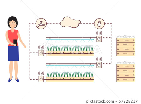 Woman controls the smart farm and agriculture 57228217