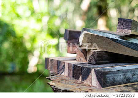 Logs woods of Burma blackwood on blurred background 57228558