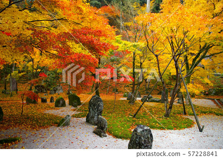 Dazaifu Komyozenji秋葉 57228841