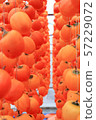 Dried persimmon 57229072