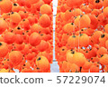 Dried persimmon 57229074