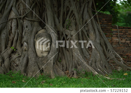 Wat Mahathat Ayutthaya Wat Mahathat Ayutthaya 57229152