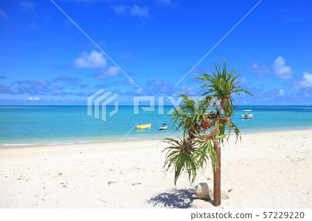 Yoron Island Okaneku Coast Yoron Island Okaneku Coast 57229220