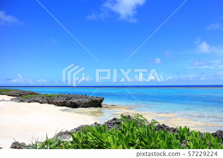 Yoron Island Terasaki Coast Yoron Island Terasaki Coast 57229224