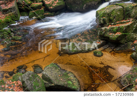 Rapids on Jedlova Creek, Jizera Mountains 57230986