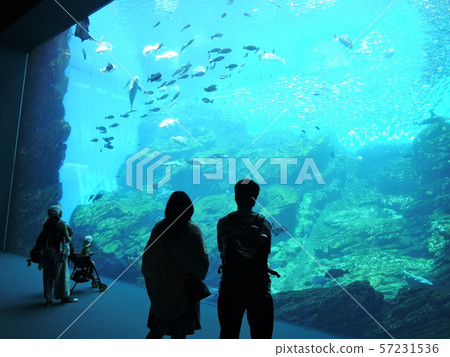 仙台Umi森林水族館 57231536