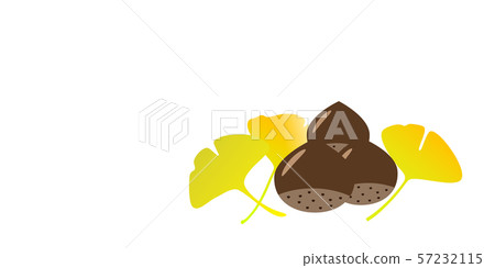 Illustration of chestnut and ginkgo feeling autumn 57232115