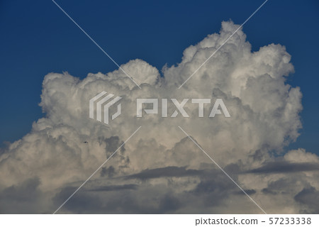 Cumulonimbus at the end of summer from Higashi-Ogishima Park 57233338