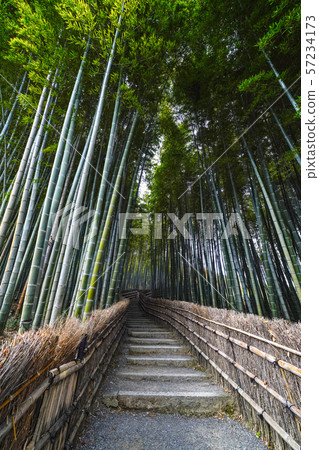 Bamboo grove of Nanno Buddhist temple Bamboo grove of Nanno Buddhist temple 57234173