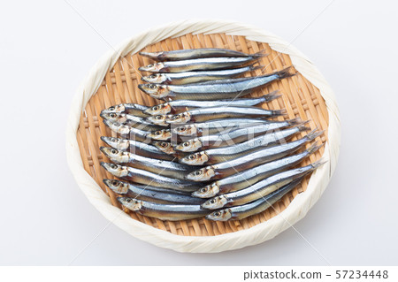 銀色條紋圓腹鯡 銀色條紋圓腹鯡 57234448