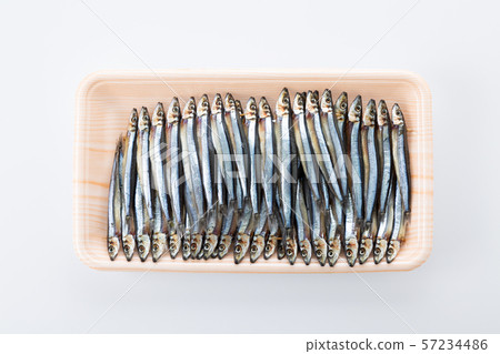 銀色條紋圓腹鯡 銀色條紋圓腹鯡 57234486