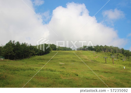 Yuno Maruyama 57235092