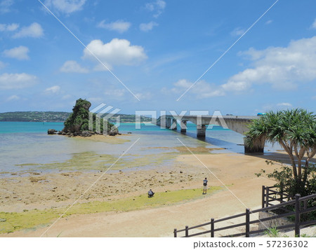 Koryu橋 Koryu橋 57236302