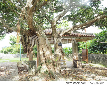 Shurijo Castle Park Shurijo Castle Park 57236304