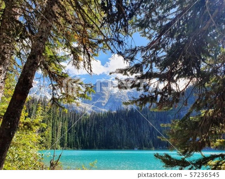 Joffrey Landscape 57236545