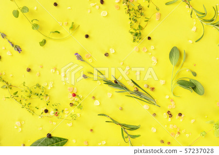 Culinary herbs and spices, shot from the top on a yellow background, cooking pattern Culinary herbs and spices, shot from the top on a yellow background, cooking pattern 57237028