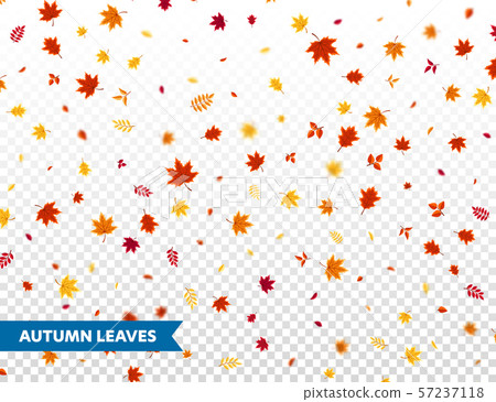 Autumn falling leaves. Nature background with red, orange, yellow foliage. Flying leaf. Season sale Autumn falling leaves. Nature background with red, orange, yellow foliage. Flying leaf. Season sale 57237118