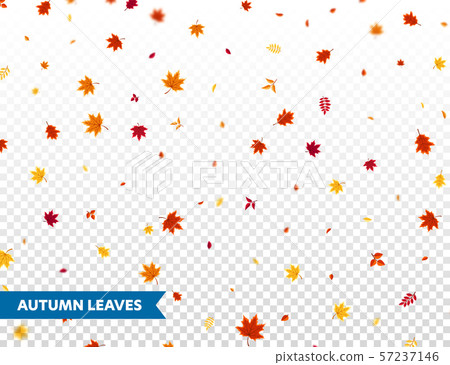Autumn falling leaves. Nature background with red, orange, yellow foliage. Flying leaf. Season sale 57237146