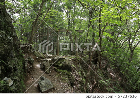 Miso Shrine Gonotori 57237630
