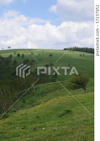 Shinga Highland,Migahara Kogen,Migahara農場周圍的風景,夏天雲彩在海拔2000m關閉 Shinga Highland,Migahara Kogen,Migahara農場周圍的風景,夏天雲彩在海拔2000m關閉 57237952