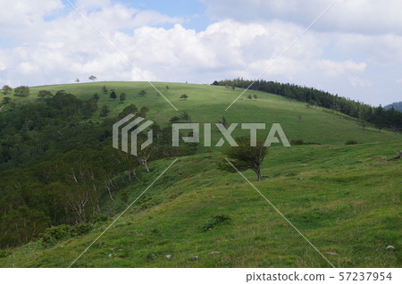 Shinga Highland,Migahara Kogen,Migahara農場周圍的風景,夏天雲彩在海拔2000m關閉 Shinga Highland,Migahara Kogen,Migahara農場周圍的風景,夏天雲彩在海拔2000m關閉 57237954