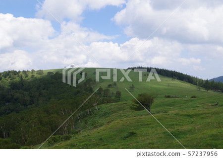 Shinga Highland,Migahara Kogen,Migahara農場周圍的風景,夏天雲彩在海拔2000m關閉 Shinga Highland,Migahara Kogen,Migahara農場周圍的風景,夏天雲彩在海拔2000m關閉 57237956