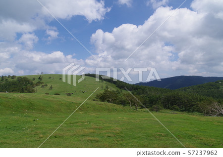 Shinga Highland, Migahara Kogen, Scenery around Migahara Farm, Summer clouds close at an altitude of 2000m 57237962
