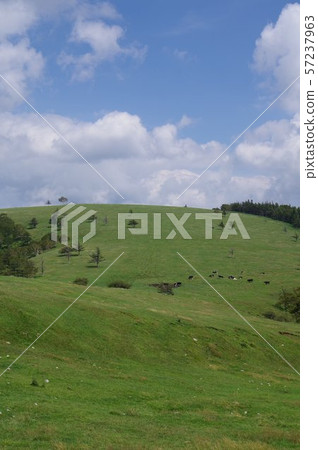 Shinga Highland，Migahara Kogen，Migahara農場周圍的風景，夏天雲彩在海拔2000m關閉 57237963