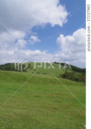 Shinga Highland, Migahara Kogen, Scenery around Migahara Farm, Summer clouds close at an altitude of 2000m 57237965