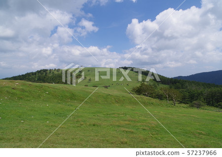 Shinga Highland,Migahara Kogen,Migahara農場周圍的風景,夏天雲彩在海拔2000m關閉 Shinga Highland,Migahara Kogen,Migahara農場周圍的風景,夏天雲彩在海拔2000m關閉 57237966
