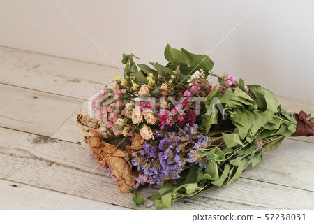 乾花 乾花 57238031