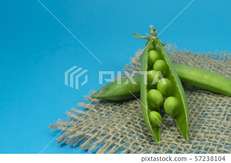 Pea pods and peas on square rustic hessian cloth Pea pods and peas on square rustic hessian cloth 57238104