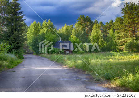 Small cottage nestling amongst green trees Small cottage nestling amongst green trees 57238105