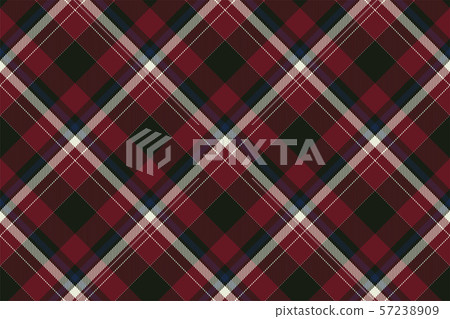 Tartan scotland seamless plaid pattern vector. Tartan scotland seamless plaid pattern vector. 57238909