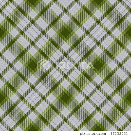 Tartan scotland seamless plaid pattern vector. 57238961